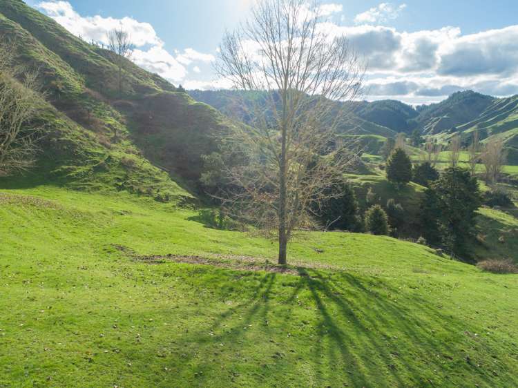 5298 State Highway 4 Waimiha-Ongarue_12