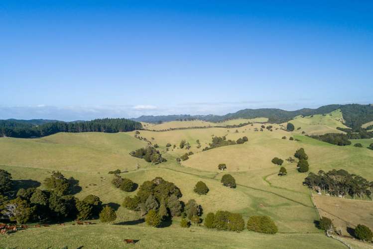 1133&1137 Matapouri Road Matapouri_35
