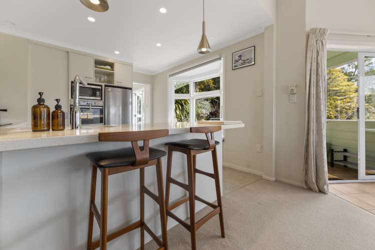 22 Shandon Street Roseneath_11