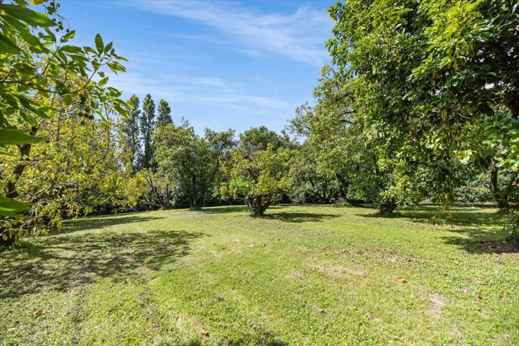 138 Te Puna Road Te Puna_7