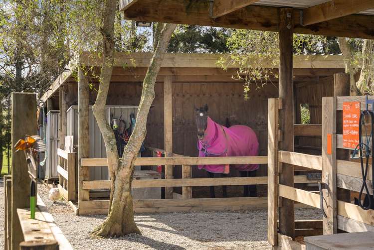 124 Rimmer Road Helensville_38