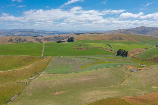 324 Reeces Road Waipara_4