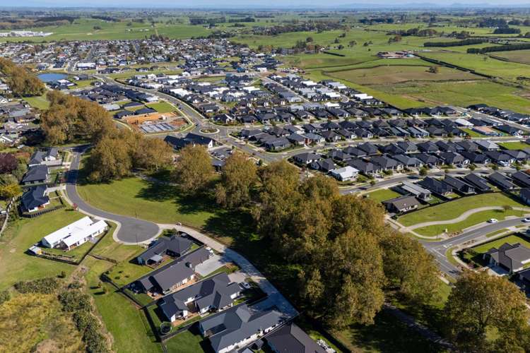 8 Lingard Street Morrinsville_3