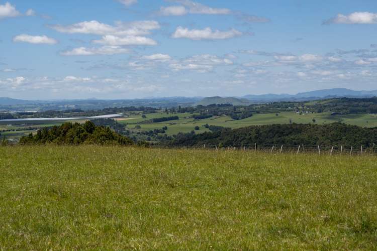 961c Wiroa Road Okaihau_6