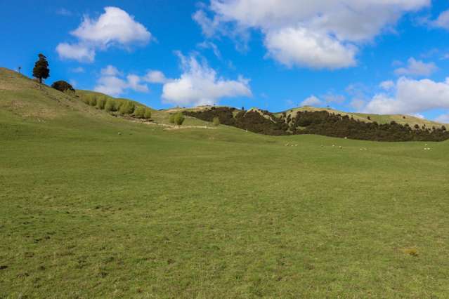 98 Millstream Road Dannevirke_1