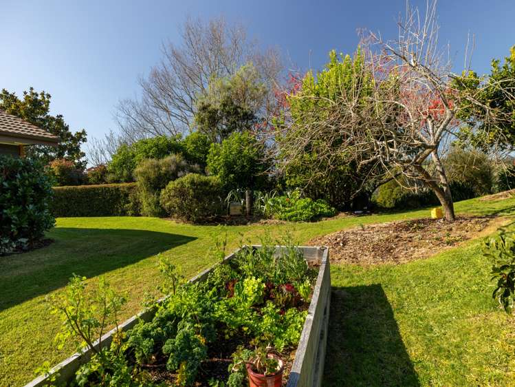 196 Whakamarama Road Whakamarama_28