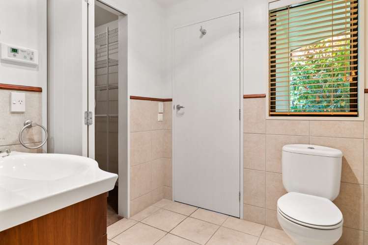 8 Goldleaf Hill Queenstown_9