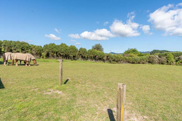 93 Crawford Road Te Kowhai_36