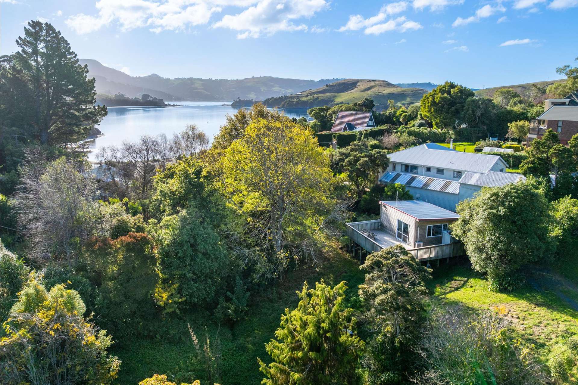 10 Ryan Street Portobello_0