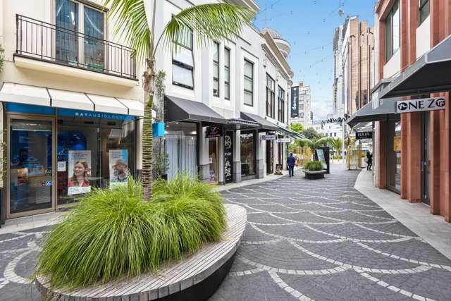 C103/13 Bacons Lane Auckland Central_1