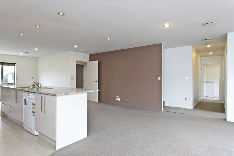 15 Birchlands Road Flat Bush_6
