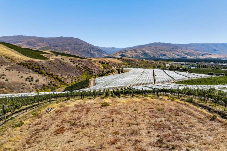 98c Paterson Road Nevis_10