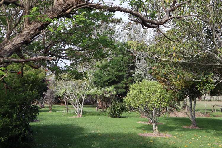 57 Pouto Road Dargaville_24