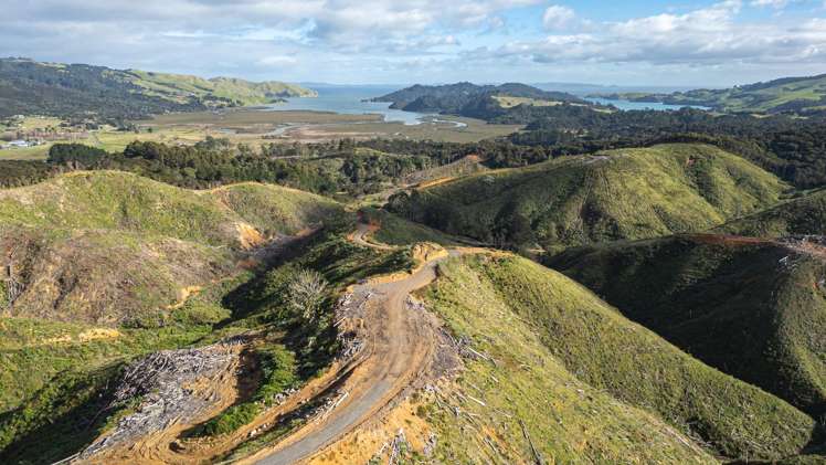 982B Manaia Road Coromandel_16