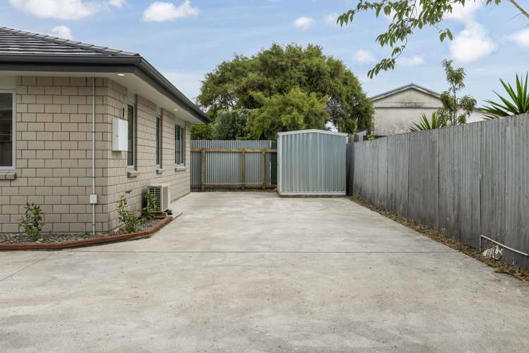 12A Guy Avenue Levin_16
