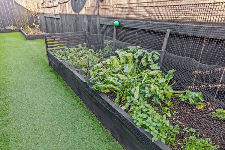 62 Arrow Close Papamoa_16