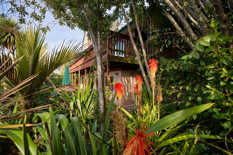 11 Maui Street Kaikoura_31