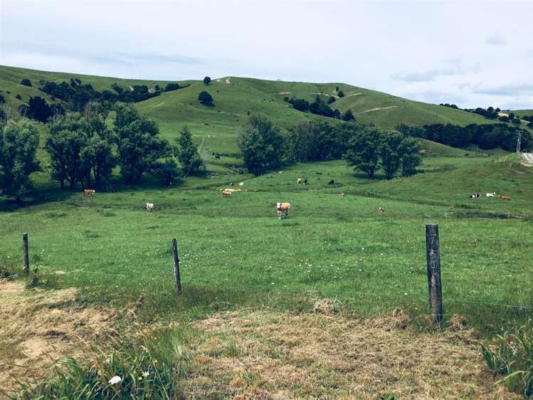 70 Churton Road Kaingaroa_14