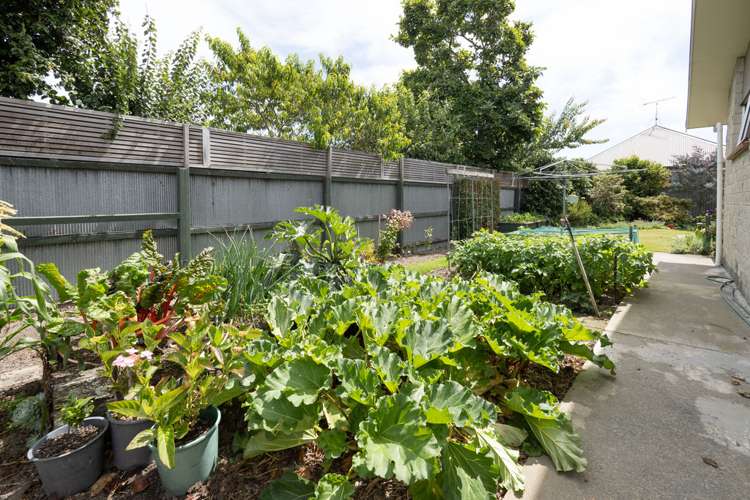 21 Charles Street Allenton_22