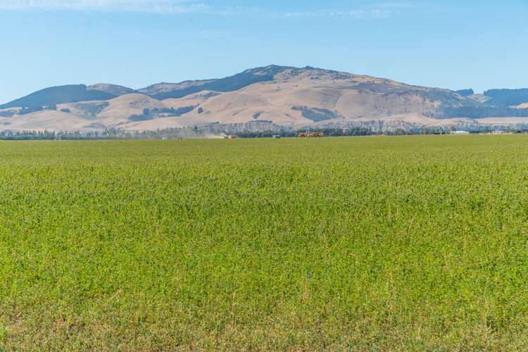 157 Georges Road Amberley_20