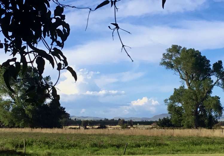 460 Douglas Road Amberley_27