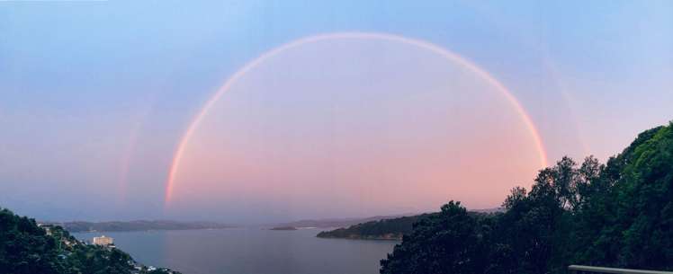 122 Grafton Road Roseneath_23