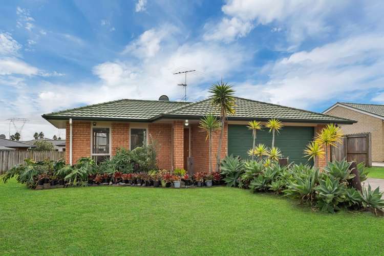 46 Medvale Avenue Flat Bush_30