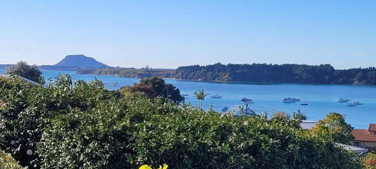 53 Coppelia Avenue Omokoroa_3