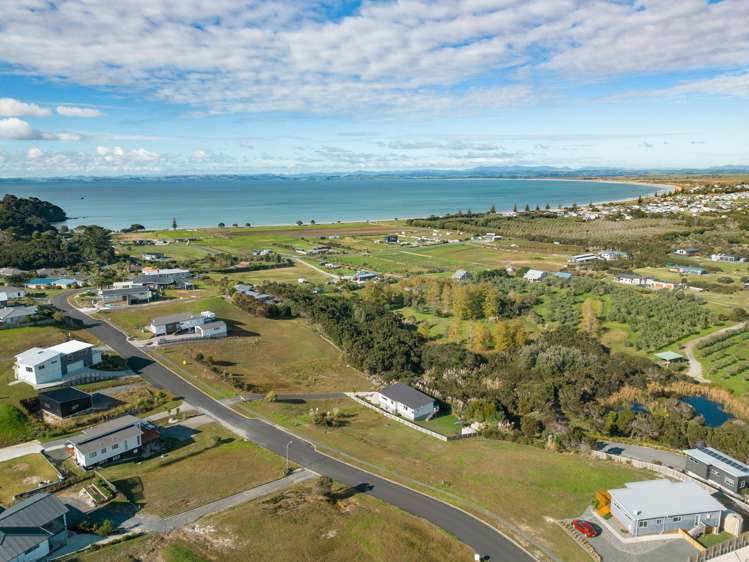 42 Bay Heights Drive Karikari Peninsula_12