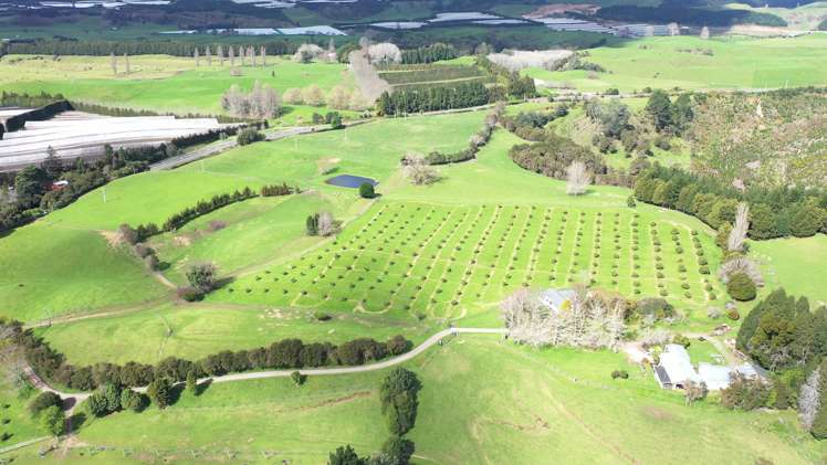 State highway 33 Paengaroa_3