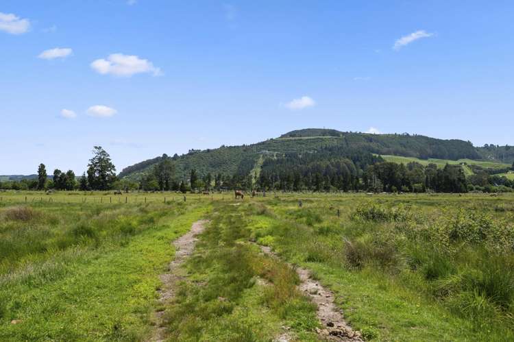 Aquarius Drive Rotorua_6