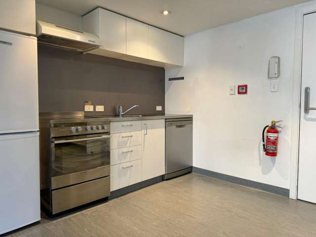 4B/15 Dixon Street Te Aro_2