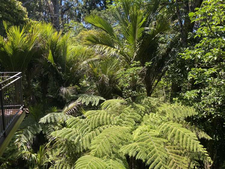 47 Kohu Road Titirangi_9