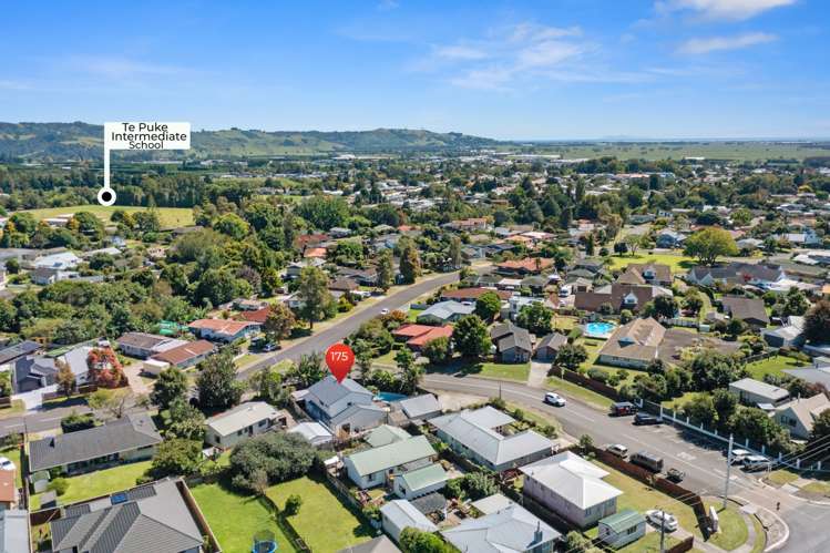 175 Cameron Road Te Puke_16