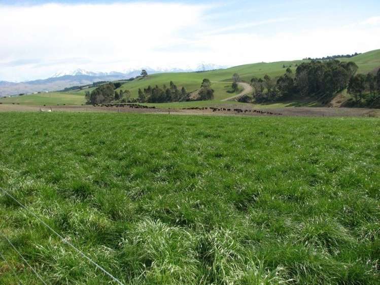 62 Harveys Road Island Cliff_3