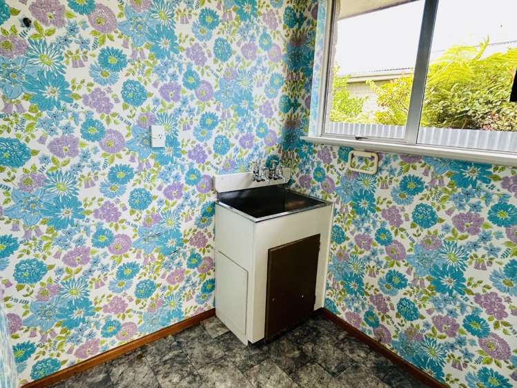 165 Jollie Street 1851_7