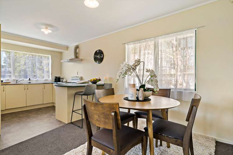 8a Locke Avenue Mount Roskill_7