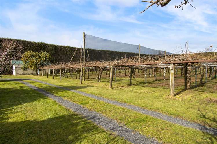 113 Beach Road Katikati_19