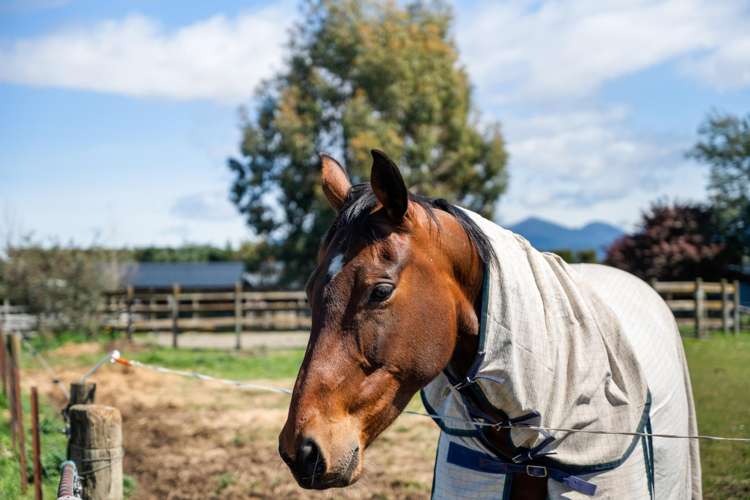 2274A State Highway 63 Wairau Valley_42