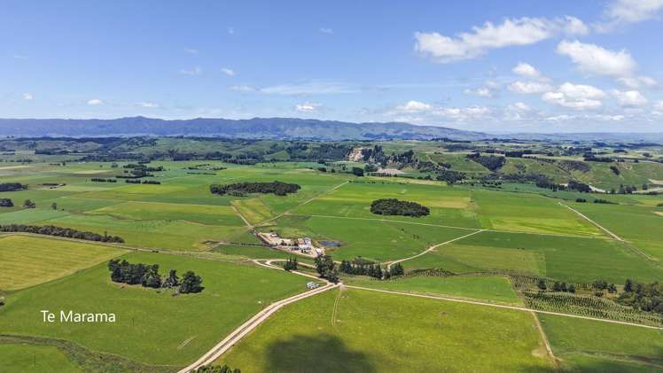 Generational Opportunities Palmerston North_12