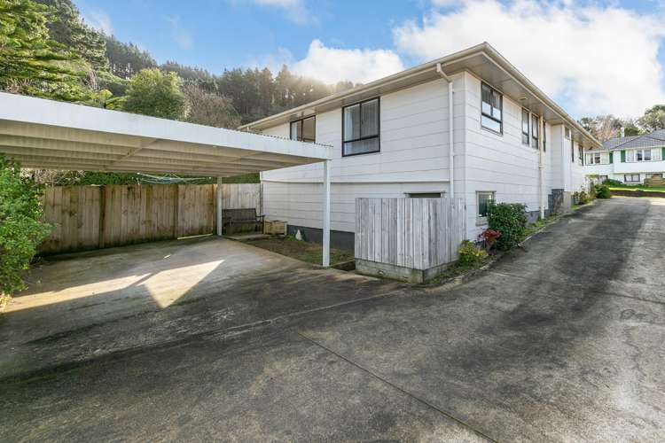 11b Greer Crescent Tawa_17