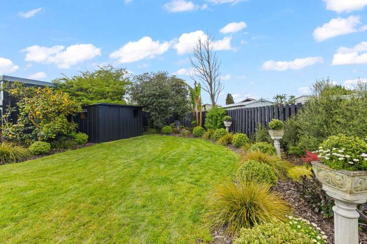 9 Meads Place Bulls_22