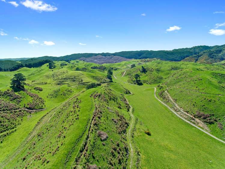 3848 Galatea Road Murupara Surrounds_21