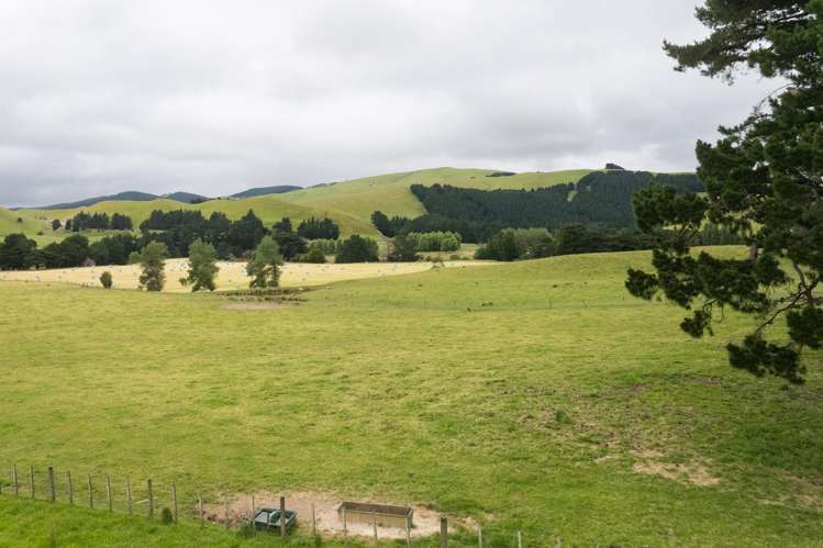 83 Towai Road Dannevirke_26