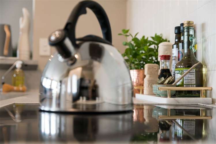 6a/16 Kent Terrace Mount Victoria_15