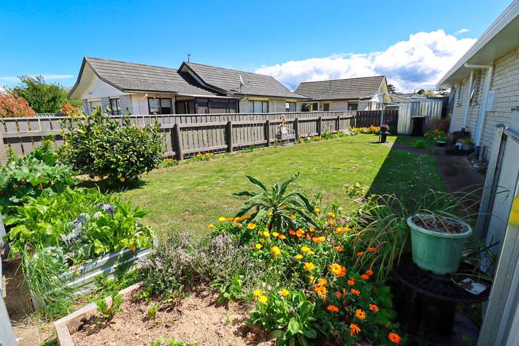 16 Hamlet Street Dannevirke_17