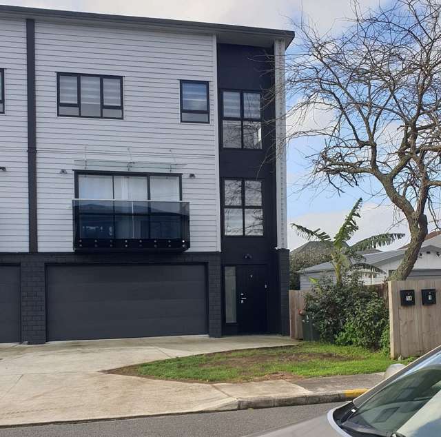 New house in the heart of Mount Roskill