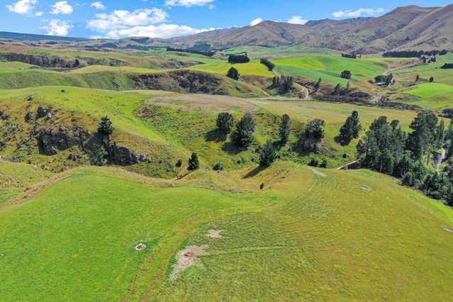 1453 Dunback-Morrisons road Dunback_2