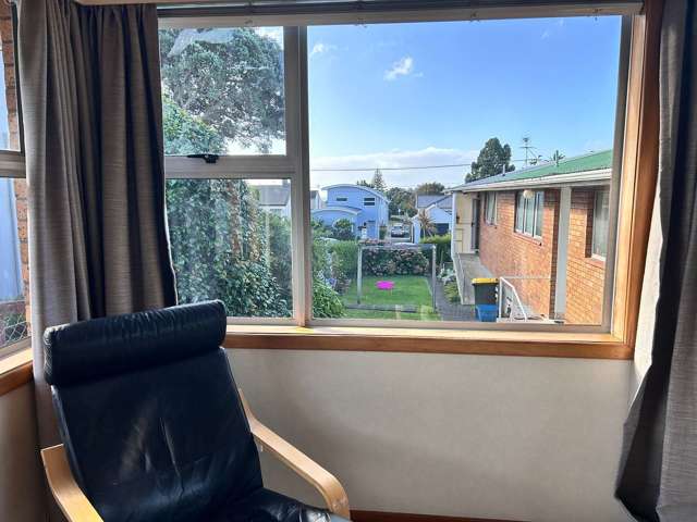 256C Courtenay Street Strandon_1