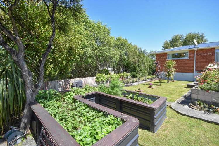 23 Vulcan Road Waldronville_16